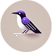 Cute illustrated bird